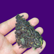 Load image into Gallery viewer, CBD Hemp Flower Alpen Gleaux Exotic Strain
 - thehemphaus