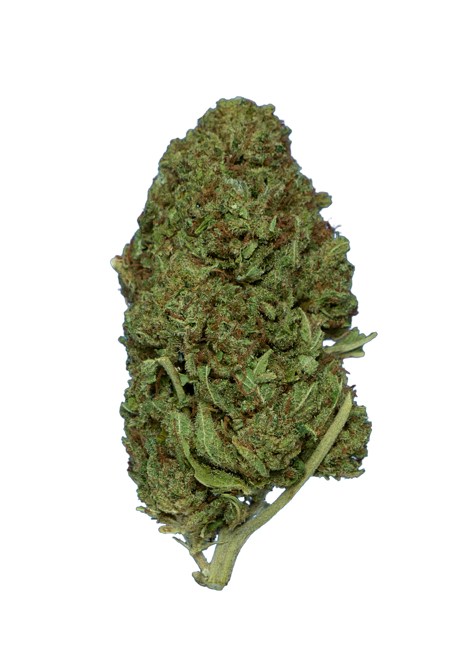 cbd pre rolls stardust bubba kush cbd hemp flower strain nugget - thehemphaus