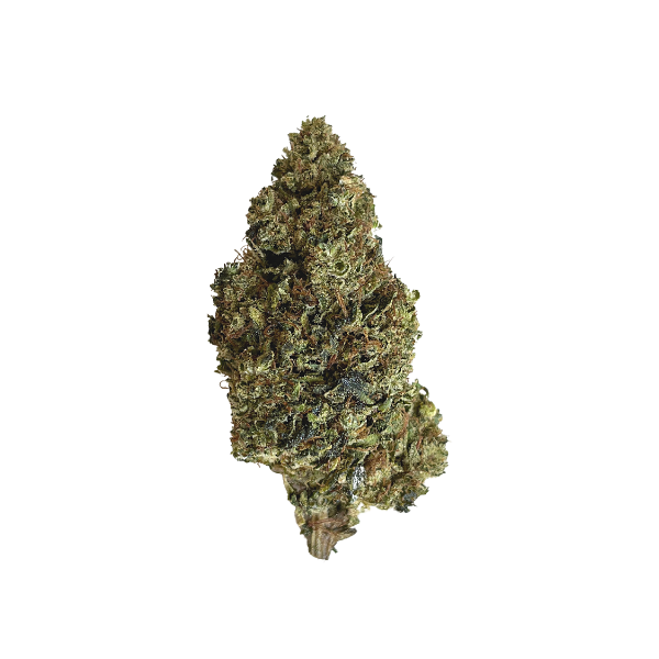 Northern Lights HHC flower bud - thehemphaus