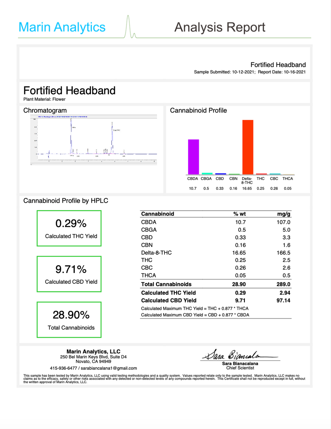 Headband - thehemphaus